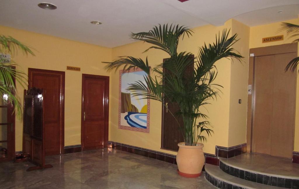 Hotel San Vicente - Centro Playa 콘일데라프론테라 외부 사진